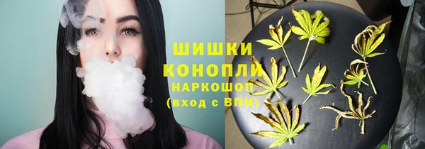 мет Богданович