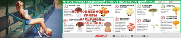 прущие крисы Богородск