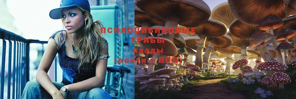 a pvp Богородицк