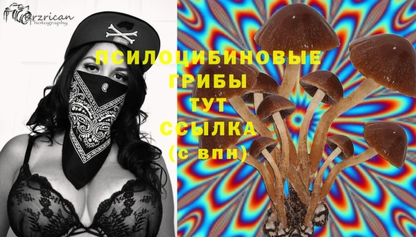 мет Богданович