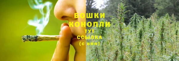 мет Богданович