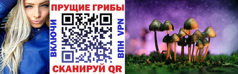 Галлюциногенные грибы прущие грибы  наркотики  Чудово 